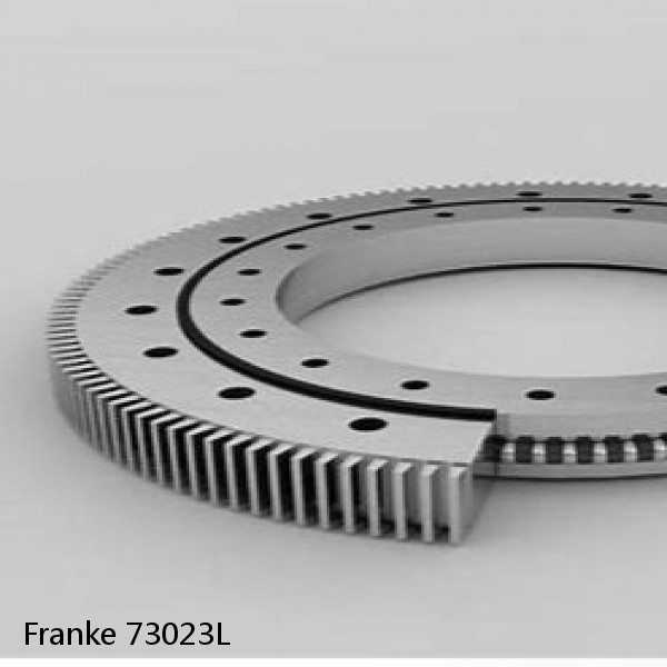 73023L Franke Slewing Ring Bearings