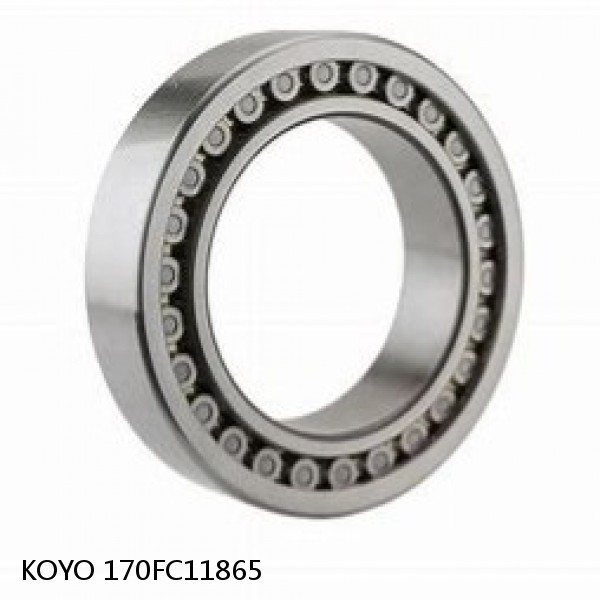 170FC11865 KOYO Four-row cylindrical roller bearings