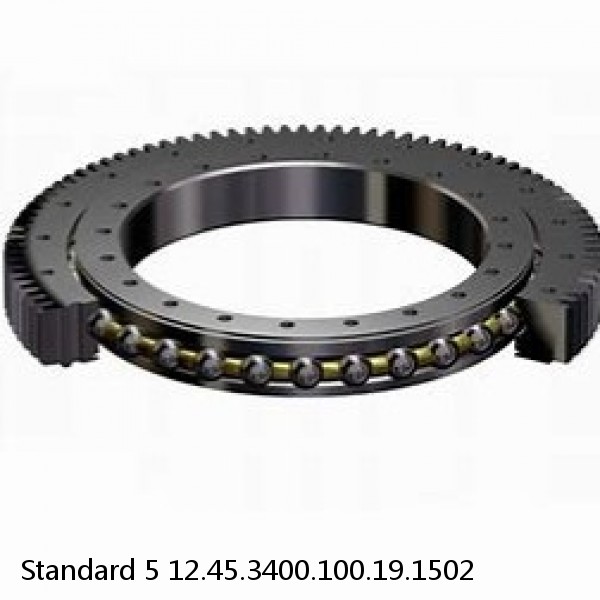 12.45.3400.100.19.1502 Standard 5 Slewing Ring Bearings