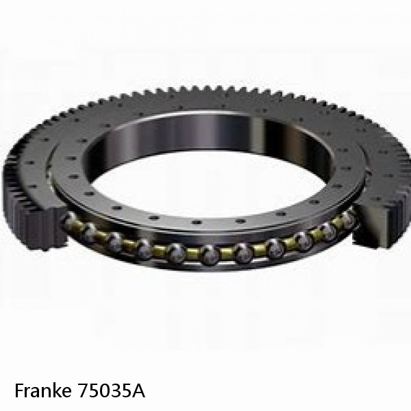 75035A Franke Slewing Ring Bearings