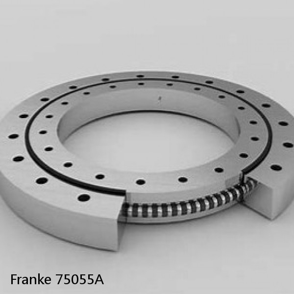 75055A Franke Slewing Ring Bearings